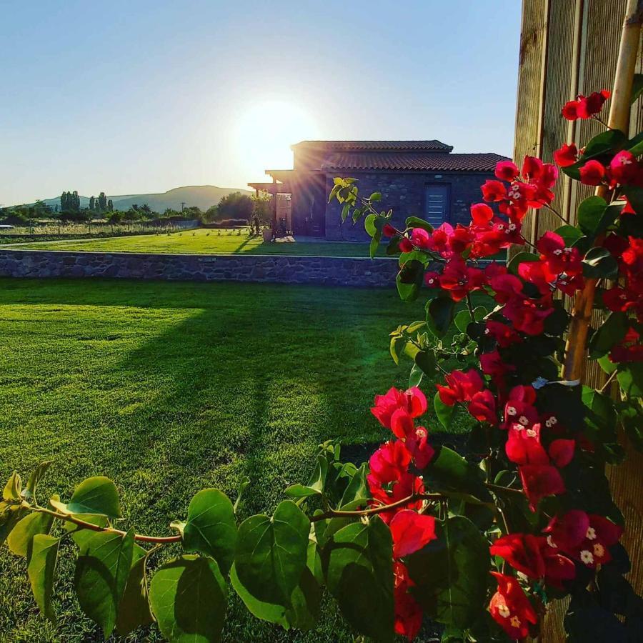 Lithos Villas Skála Eresoú Exteriér fotografie